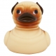 Rubber duck Pug dog LILALU  Lilalu