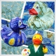 Rubber duck Vincent van Gogh LUXY  Luxy ducks