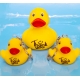 DUCKY TALK Thank You geel  Eendjes met tekst