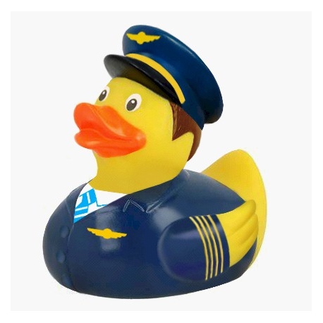 Rubber duck Pilot KLM  Profession ducks