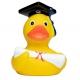 Rubber duck graduation DR  More ducks