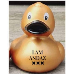 250 Badeend ANDAZ Goud met logo 8 cm  Wit