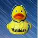 Rubber duck bad weather raincoat DR  More ducks