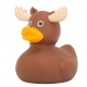 Rubber duck Moose LILALU  Lilalu