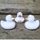 DUCKY TALK Merry Christmas & happy NEW YEAR White  Ducks with text