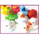 Rubber duck bright B  White