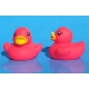 Rubber duck bright B  White