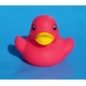 Rubber duck bright B  White