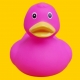 Rubberduck neon fluorescent pink 8 cm B  Other colors