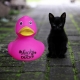 DUCKY TALK LUCKY duck Fluorrosa  Enten mit tekst