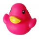 Rubber duck bright B  Other colors