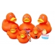 Rubber duck DUTCH DUCKY Orange 8 cm B  Dutch Ducky