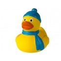 Badeente winter DR