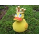 King crown duck Lanco  Lanco