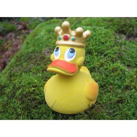 King crown duck Lanco  Lanco