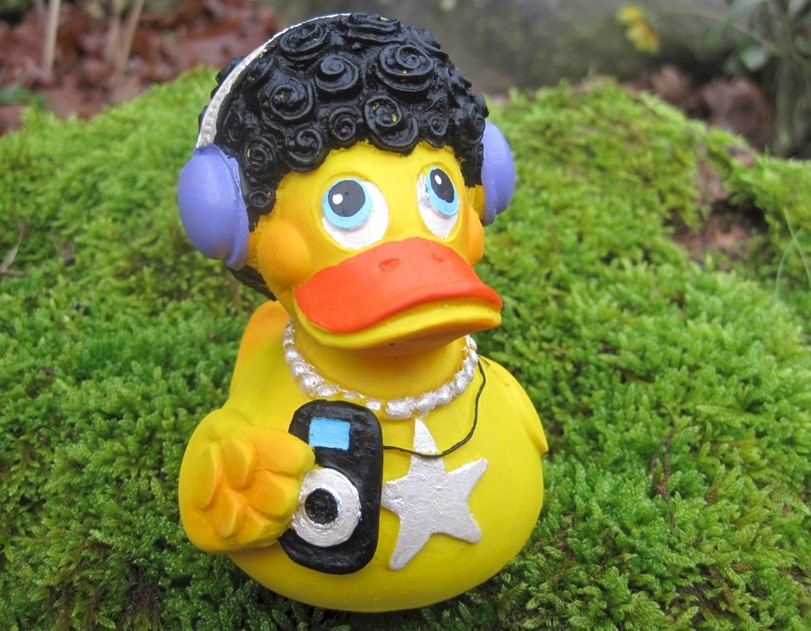 disco duck bath toy