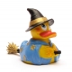 Witch duck Lanco  Lanco