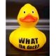 Duck with your own name/ text 12.5 CM  Duck with your Text