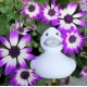 Rubberduck white with silver beak 8 cm B  White