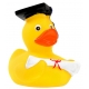 Rubber duck graduation DR  More ducks