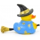 Witch duck Lanco  Lanco