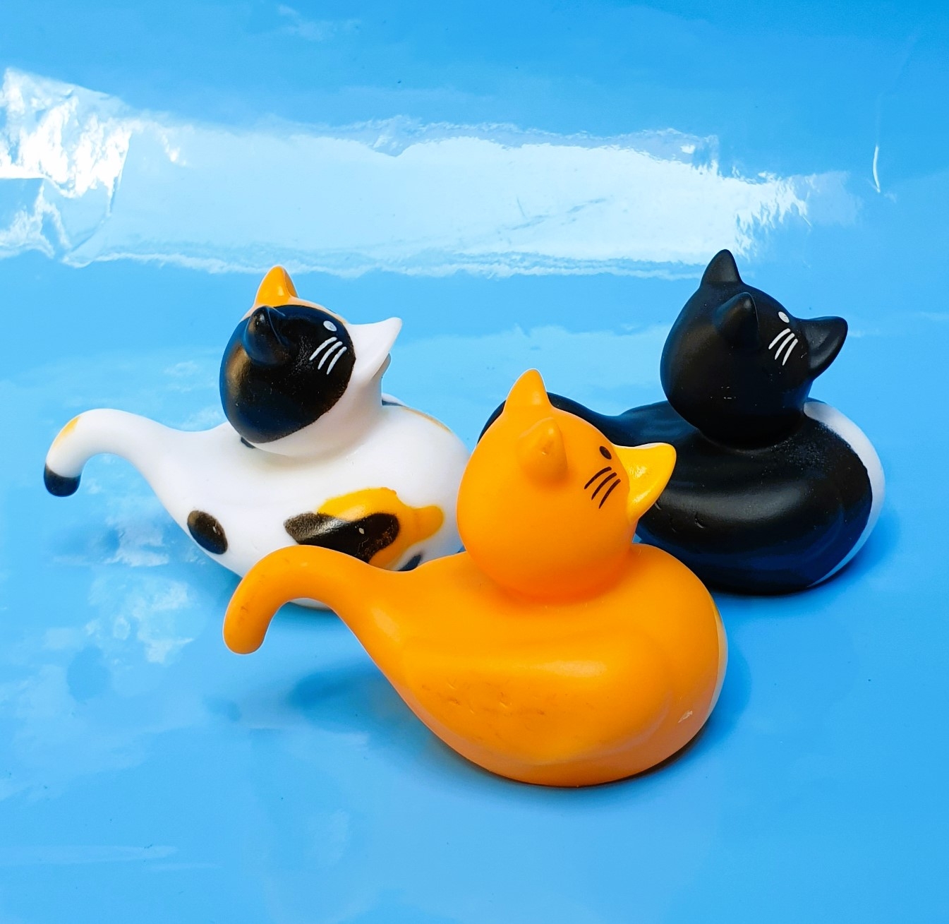 Cat best sale rubber duck