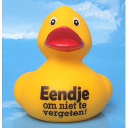 DUCKY TALK  Eendje om niet te vergeten Gelb  Enten mit tekst