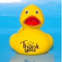 DUCKY TALK  Thank You geel